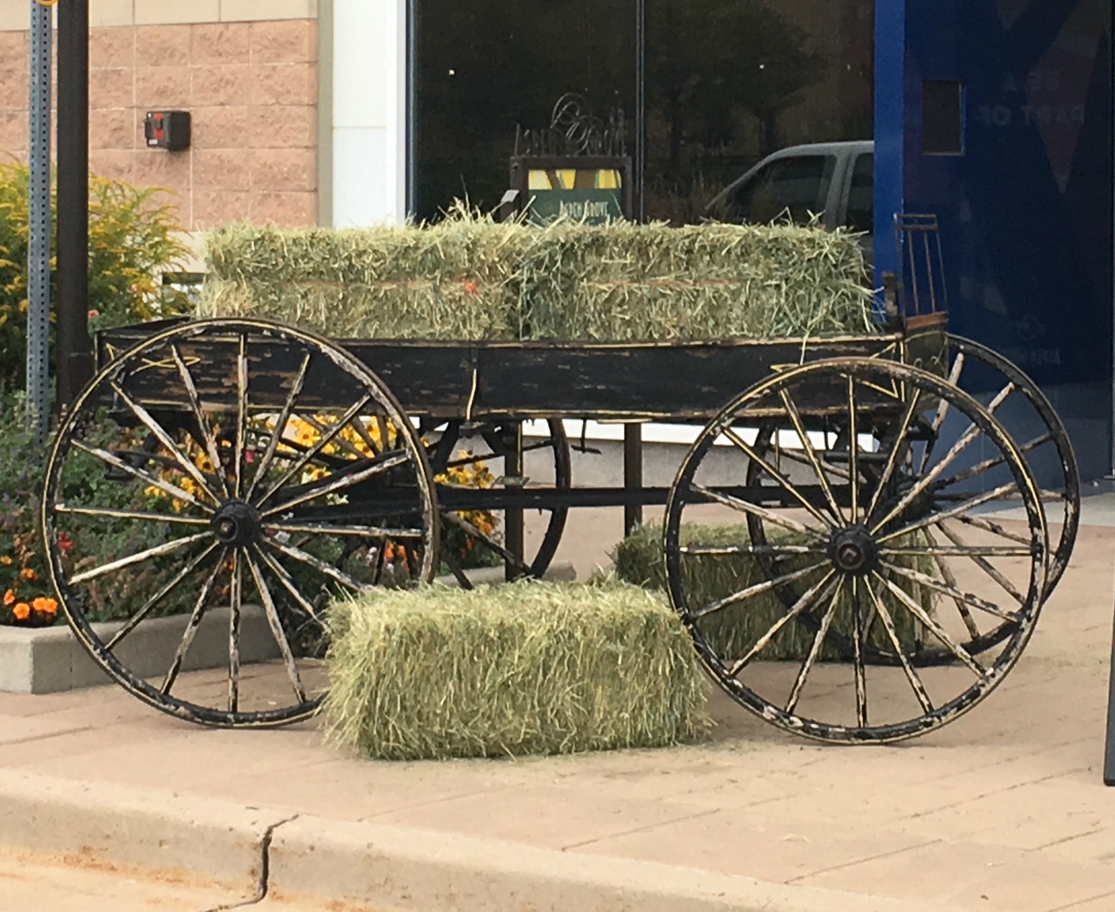 flat display Wagon